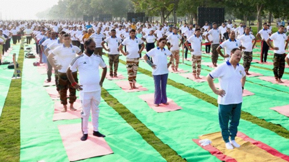 A group of students practicing yoga poses.
